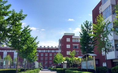 北京市信息管理學(xué)校、學(xué)校招生計劃